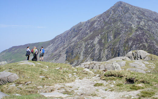 Ogwen-520x520