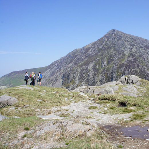 Ogwen-520x520