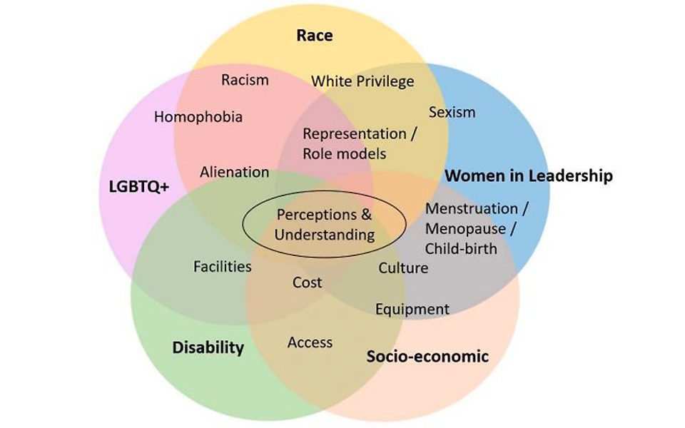 960x600 intersectionality diagram
